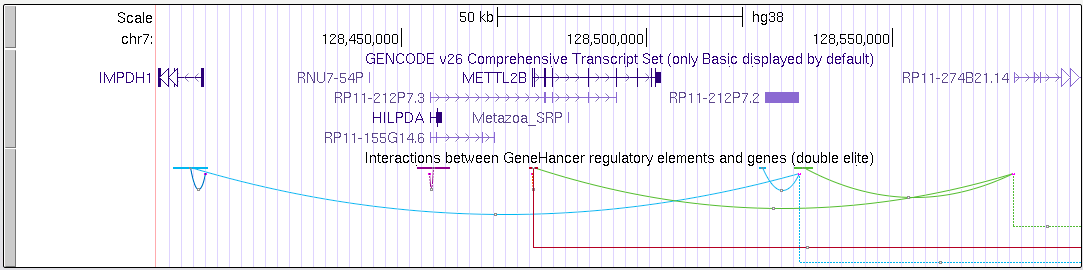 GeneHancer_Example.png