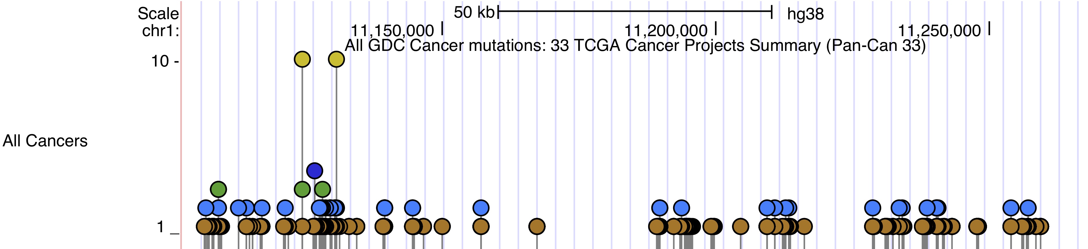 GDC Cancer lollipop display